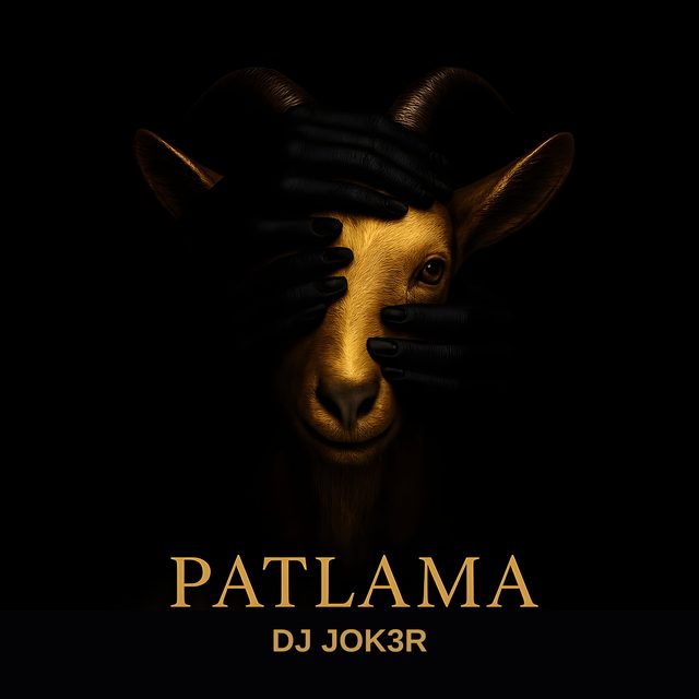 Patlama — DJ JOK3R cover artwork